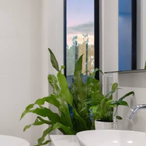 plants shop product gallery img 20